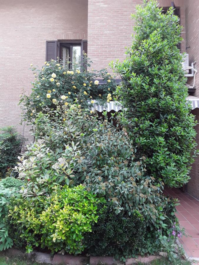 B&B La Rosa Gialla マラネッロ エクステリア 写真