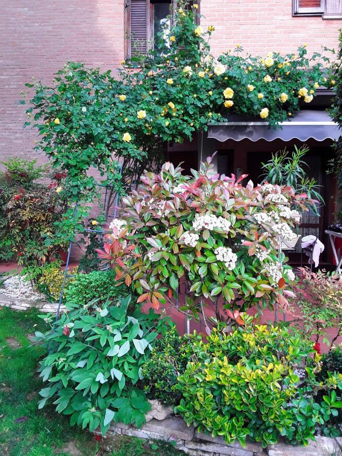 B&B La Rosa Gialla マラネッロ エクステリア 写真